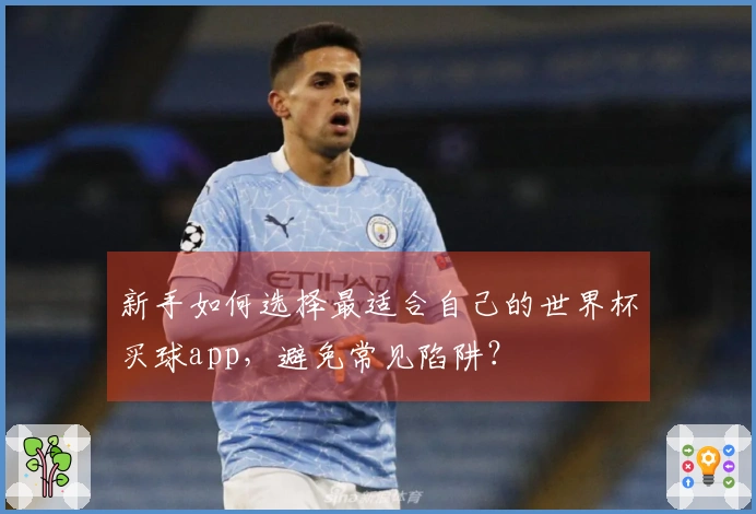 新手如何选择最适合自己的世界杯买球app，避免常见陷阱？