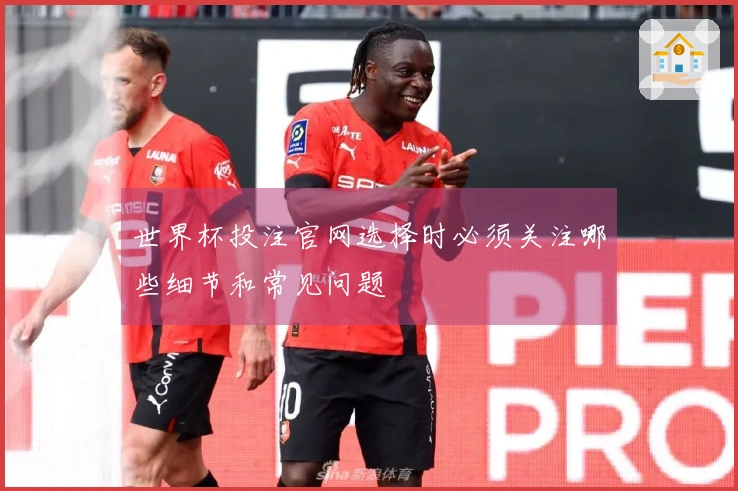 世界杯投注官网选择时必须关注哪些细节和常见问题