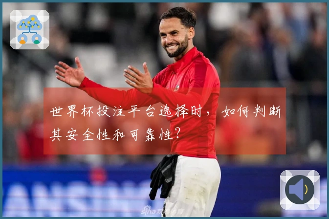 世界杯投注平台选择时，如何判断其安全性和可靠性？