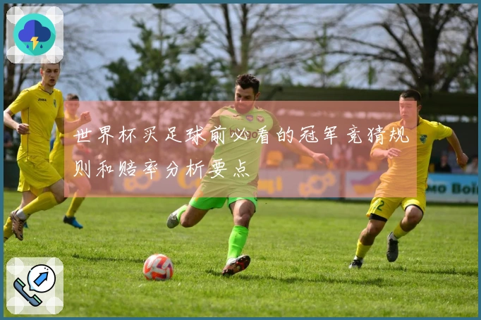世界杯买足球前必看的冠军竞猜规则和赔率分析要点