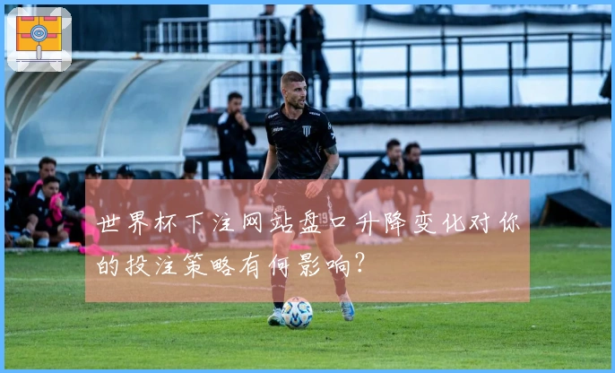 世界杯下注网站盘口升降变化对你的投注策略有何影响？