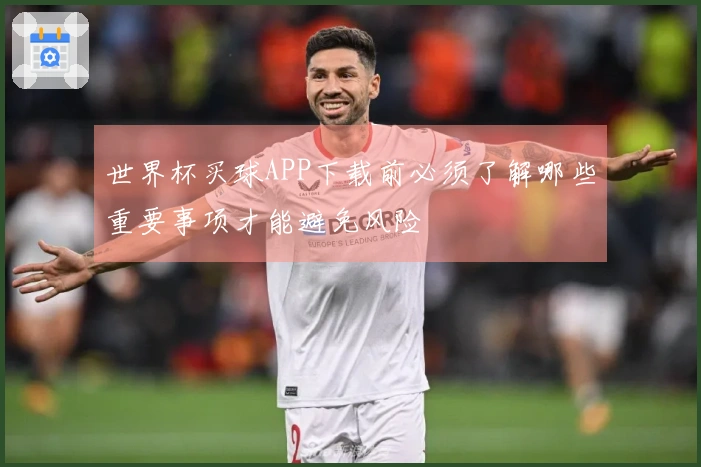 世界杯买球APP下载前必须了解哪些重要事项才能避免风险