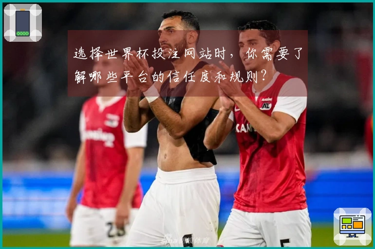 选择世界杯投注网站时，你需要了解哪些平台的信任度和规则？