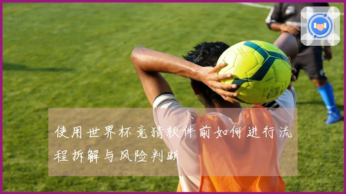 使用世界杯竞猜软件前如何进行流程拆解与风险判断