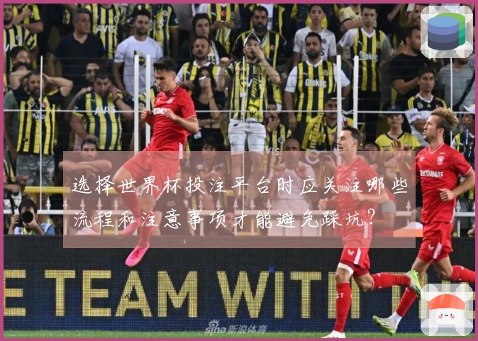 选择世界杯投注平台时应关注哪些流程和注意事项才能避免踩坑？