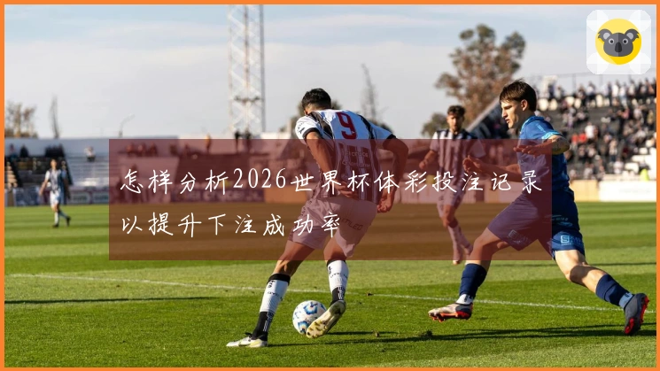 怎样分析2026世界杯体彩投注记录以提升下注成功率