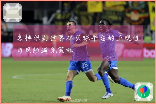 怎样识别世界杯买球平台的正规性与风险避免策略