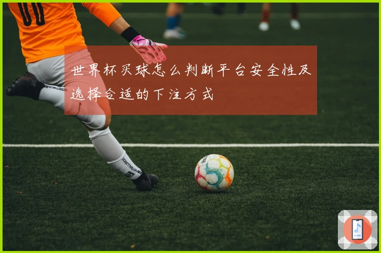 世界杯买球怎么判断平台安全性及选择合适的下注方式