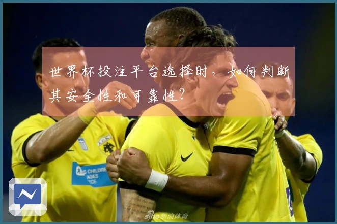 世界杯投注平台选择时，如何判断其安全性和可靠性？