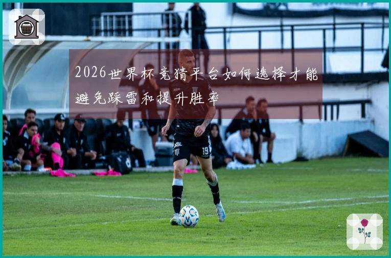 2026世界杯竞猜平台如何选择才能避免踩雷和提升胜率