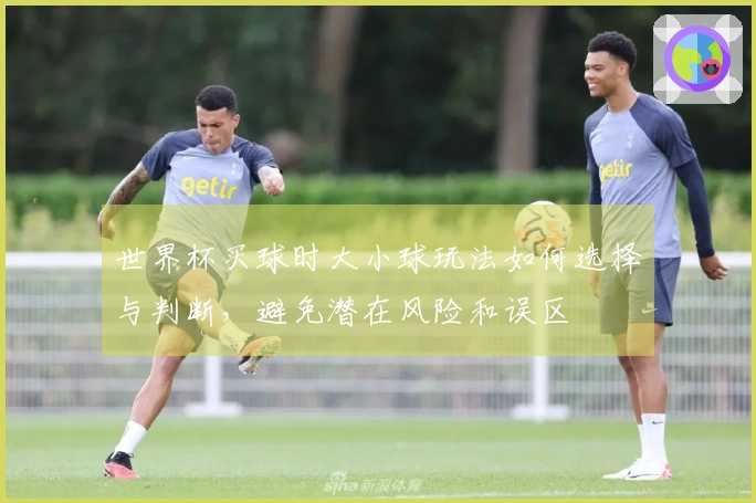 世界杯买球时大小球玩法如何选择与判断，避免潜在风险和误区