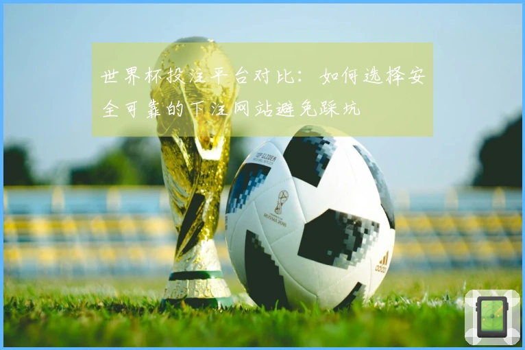 世界杯投注平台对比：如何选择安全可靠的下注网站避免踩坑