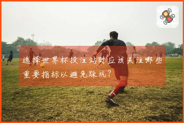 选择世界杯投注站时应该关注哪些重要指标以避免踩坑？