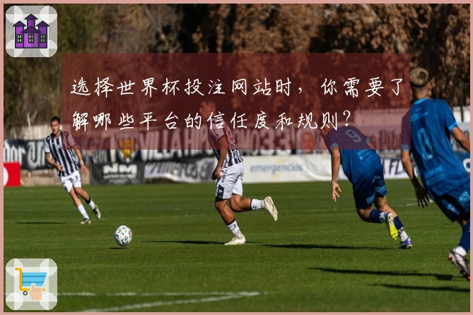 选择世界杯投注网站时，你需要了解哪些平台的信任度和规则？